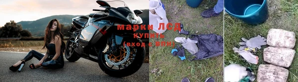 apvp Арсеньев