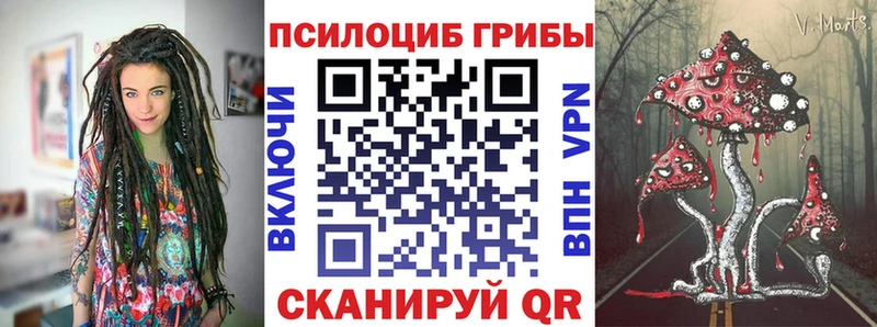 Галлюциногенные грибы Psilocybine cubensis  Урюпинск 
